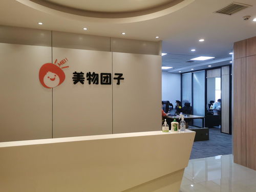 武汉美物团子科技服务 专业的技术支持与创新解决方案
